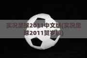 实况足球2011中文版(实况足球2011贺岁版)